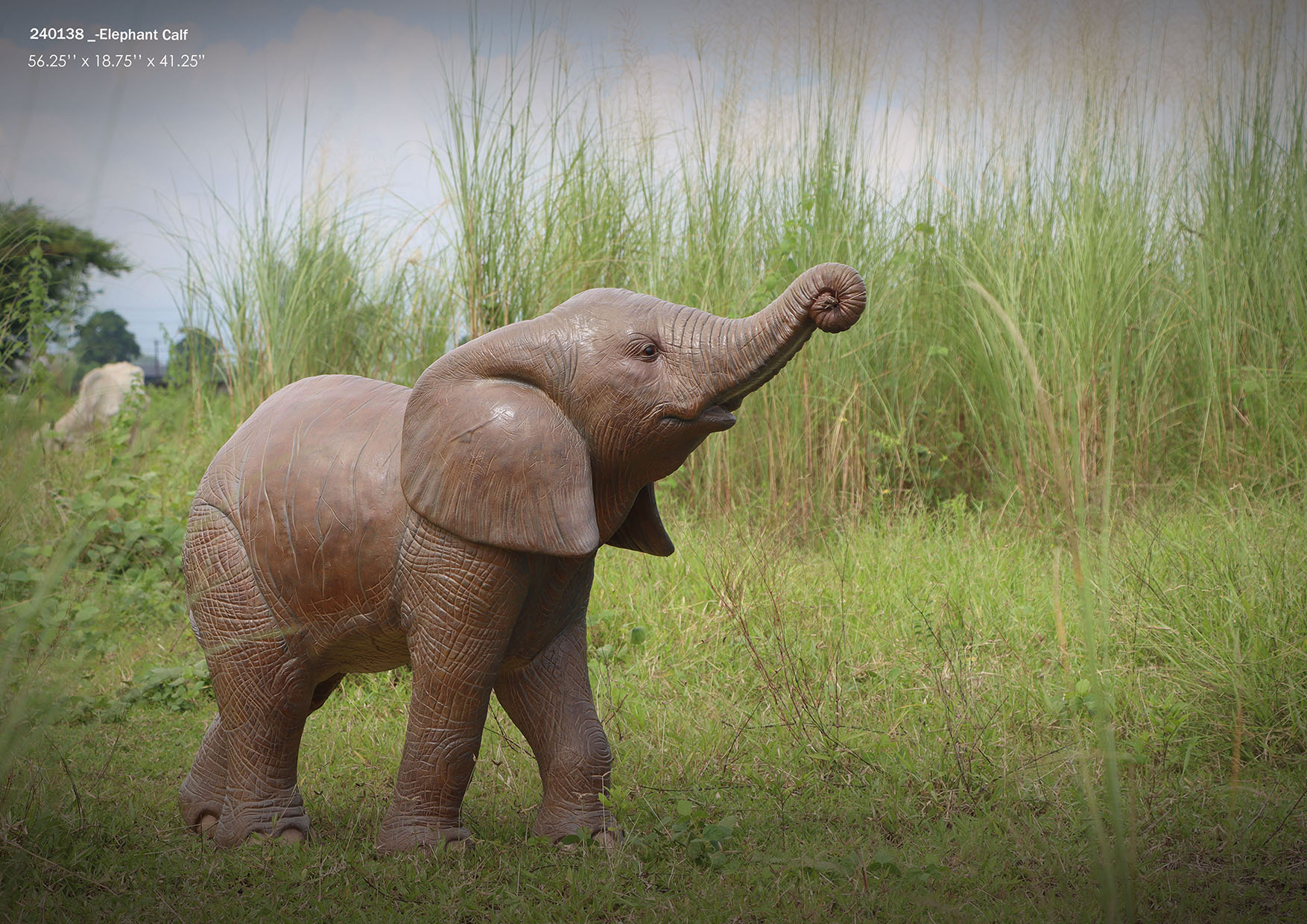 240138 - Elephant Calf 240138 - Elephant Calf